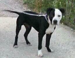 josekogomez's profile picture. 