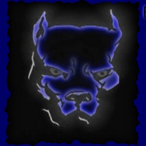 KennelsLaser's profile picture. Some Clean Great Proportion Am. Bully Pitbulls, check out http://t.co/5V5yfjBz19. Coming soon