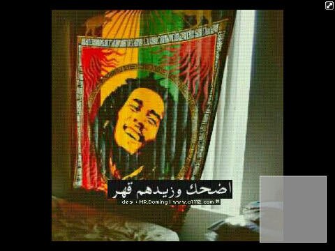 PIN:2931DACE