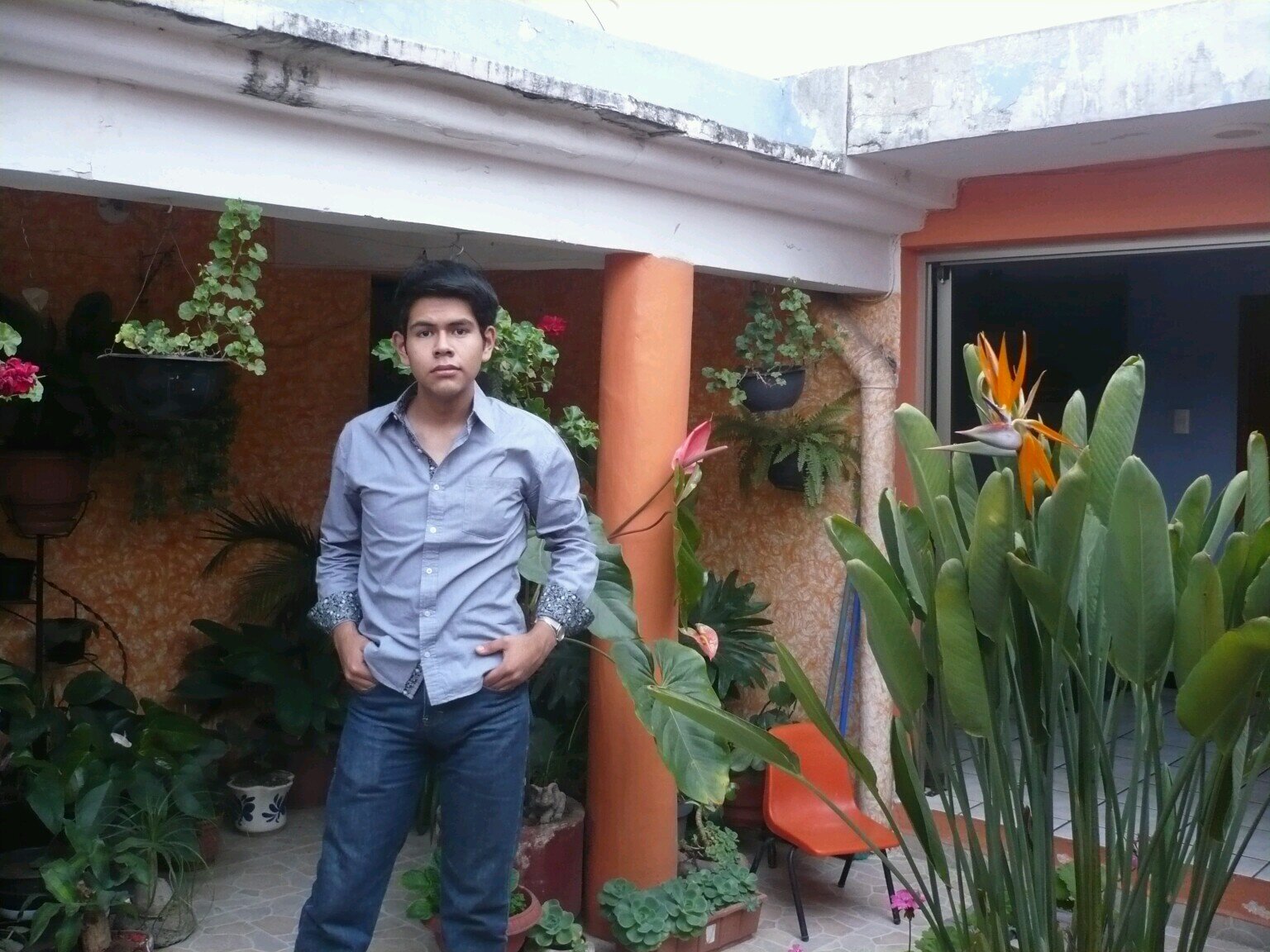 Ingeniero en Tecnologias, Gerente general de Grupo RED,  Consultor del Gob. del Estado de Oaxaca y Federal / Geek.