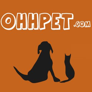 Pet breeds information,  the right pet in a #shelter,  your lost pet, a #pet you found, and buy or sell a #puppy  #dog #dogs #animals  http://t.co/9MF0szuv3r