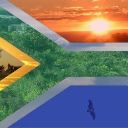 All about South African politricks