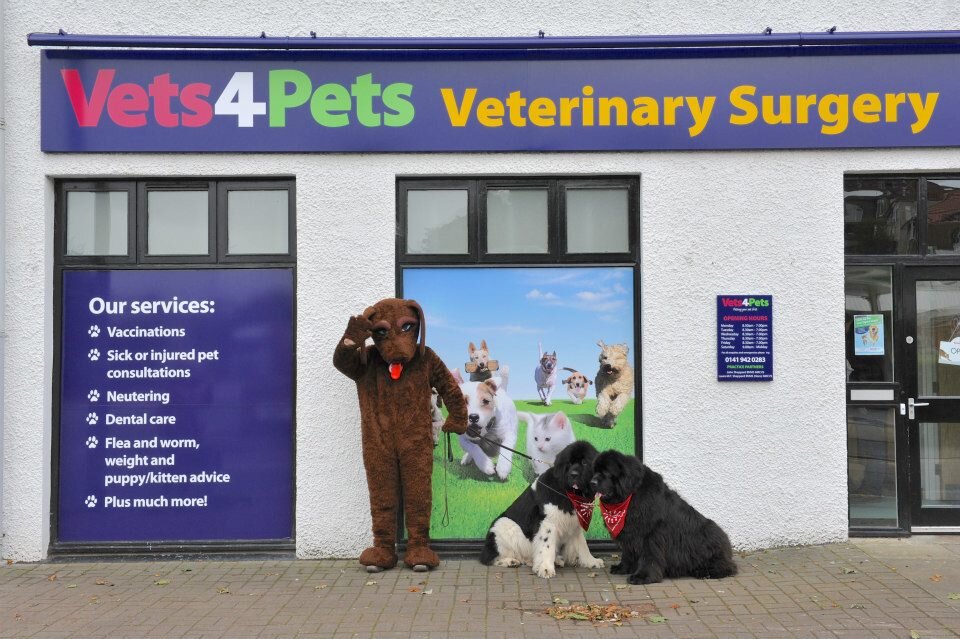 We are your  local and friendly team providing high quality vet care for your pet family!