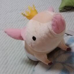 ついったーはじめました。 朝霞あたりで活動する #草の根MTG会 （仮）を主催しています。略称：くさかり。 次回：2025/10/11（土） ゆるふわな団体です、お気軽にご参加ください。