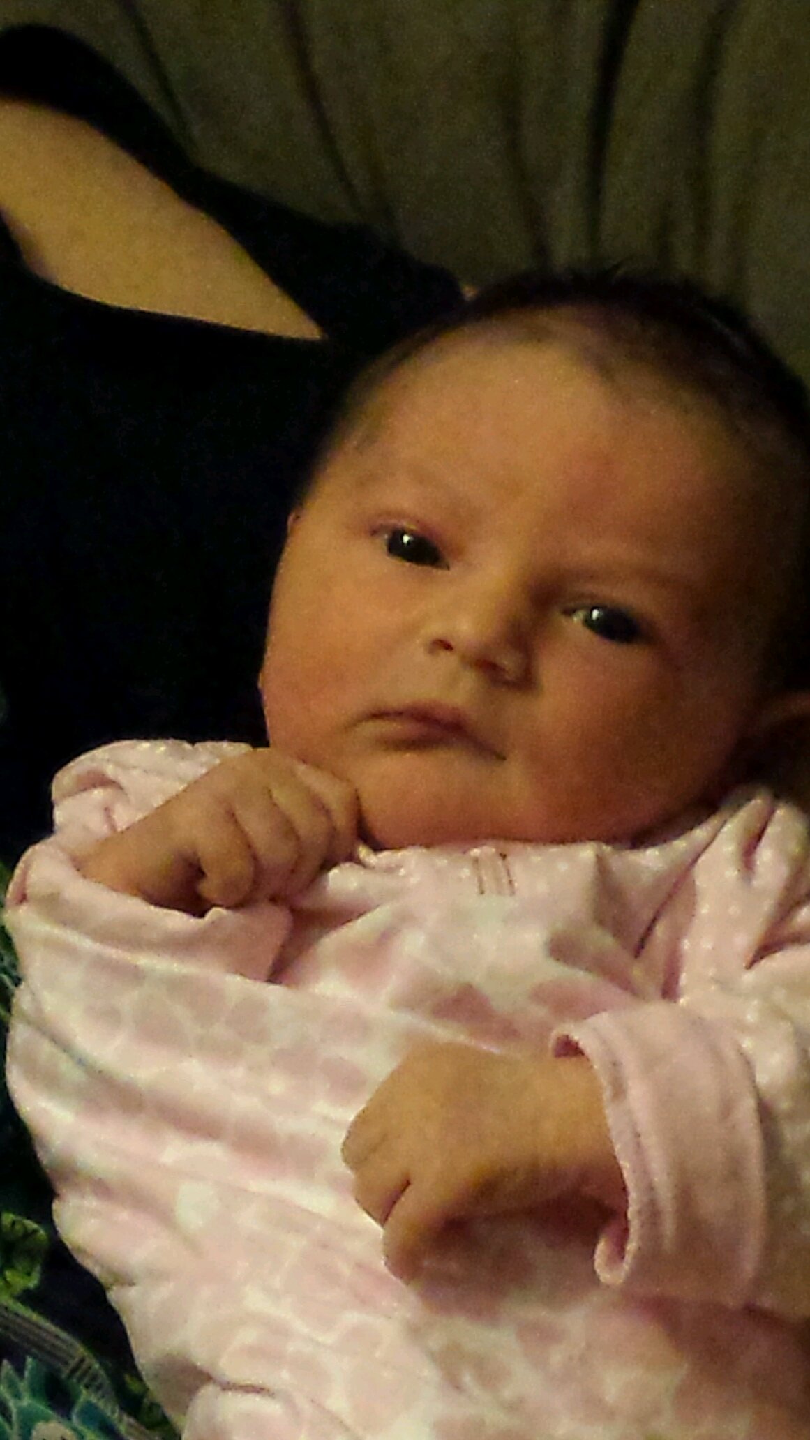 norris6261's profile picture. 