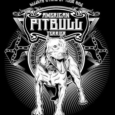 Gambar Kartun Anjing Pitbul Kata Kata Bijak