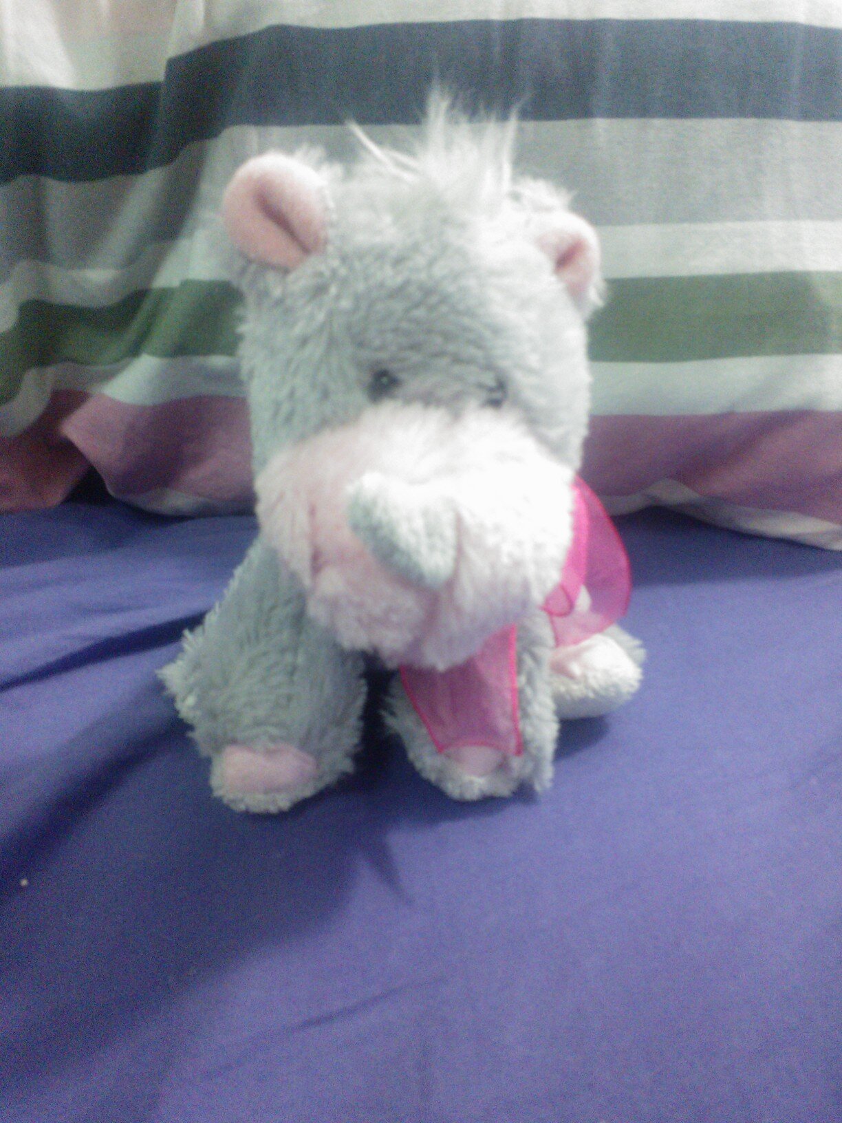 HippiTheRhino's profile picture. Hi I'm Hippi the Rhino. I travel with my owner. These are my adventures, from school to trips... I go everywhere! :)