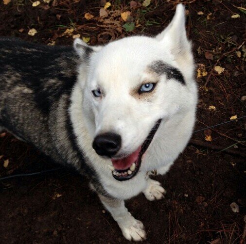 COOLNENEK's profile picture. 