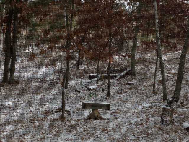 lpighini's profile picture. 