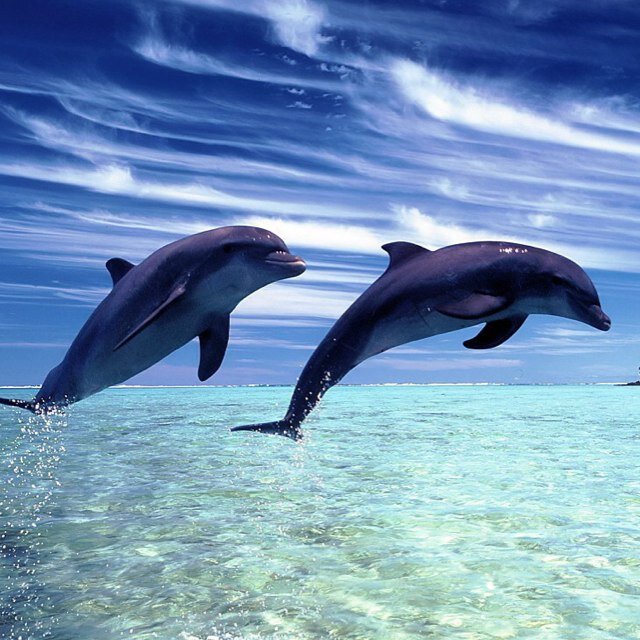 1ooNewFollowers's profile picture. 