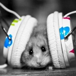 Amo tutti i miei fanz,'CRICETONER PER SEMPRE.'