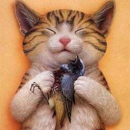 #ВзаимныйФолловинг #ЧитаюВзаимно #FollowBack #ЗаFollowМеня #FF #RT