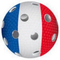 Grenoble Floorball  (@grefloorball) 's Twitter Profile