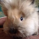 Maia Donovan smith - @epicmaia - Twitter