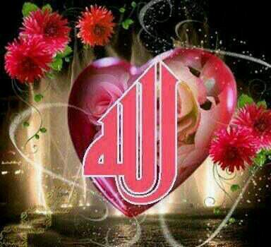 ‏‏‏( و أفوض أمري إلى الله إن الله بصير بالعباد ) حسبنا الله سيؤتينا الله من فضله إنا إلى الله راغبون ( ممنوع الخاص )