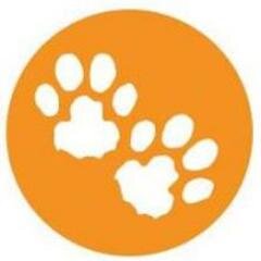Tiger Feet Solutions Ltd. Book Keeping PLUS. Let us do the books while you do the business.