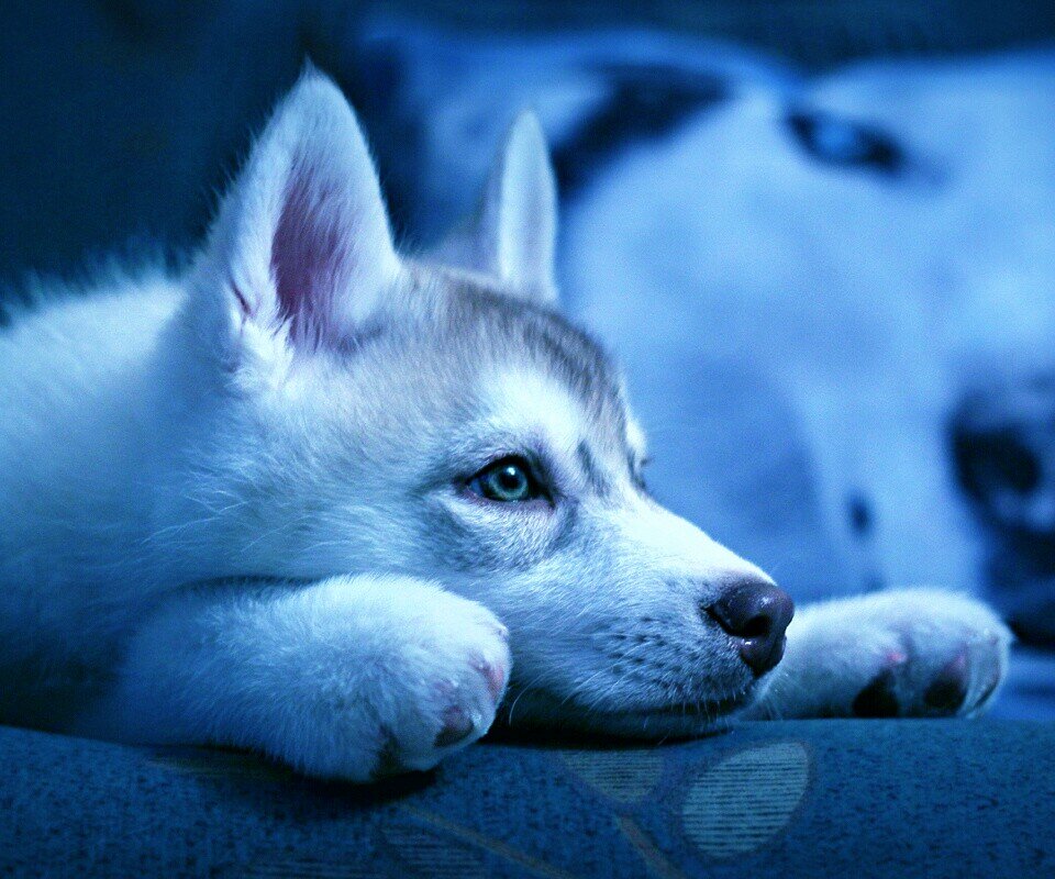 WardleBailey's profile picture. 