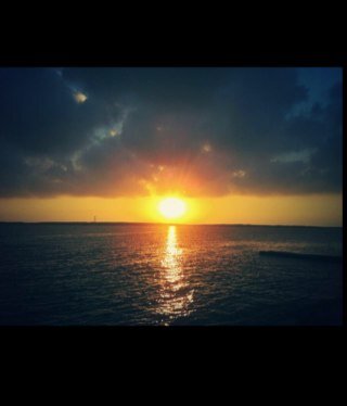 vip44442's profile picture. 