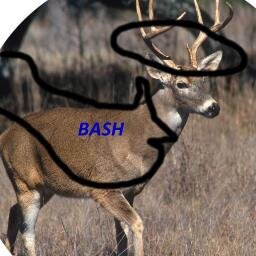 BuckAngelHero's profile picture. I'm a Buck who is now an Angel, (a fictional character) created to BASH out hatred. Friends call me BASH. I was created to fight ignorance
