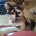 Gabrielle Perry - @Daisyelle895644 - Twitter