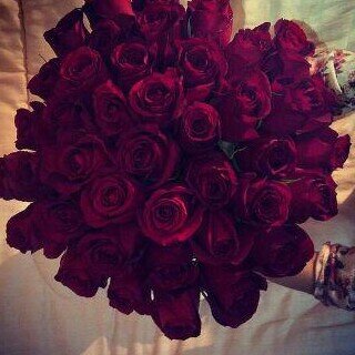 X0Medo's profile picture. 