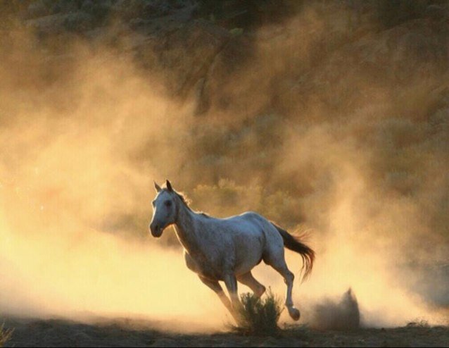 أعللُ النفس بالآمال أرقُبُها ماأضيق العيشِ لولا فسحة الأملِ