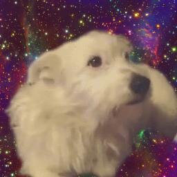 lalainutil's profile picture. enquanto vc tá lendo a bio eu comi seu sapato