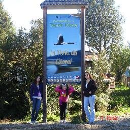 Beto_Barra's profile picture. 