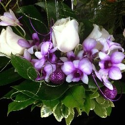 JanesFloralDrea's profile picture. Saskatoon's Floral Experts-Our focus is to help make everyones day a great one with flowers and gifts. 100% Customer Satisfaction Guaranteed.Check us out on FB!