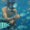 M. Farhan karim - @ardansyahkarim - Twitter