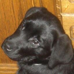 Jana_Rajah's profile picture. Student, Human Rights activist, Life Liberty & pursuit of Happiness for all human beings