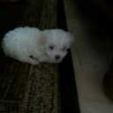 Sandra Briones - @lurimasa17 - Twitter