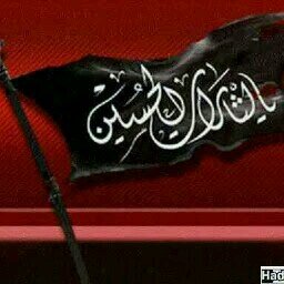 كلما كبرت السنبلة إنحنت وكلما تعمّقَ العالِم تواضع