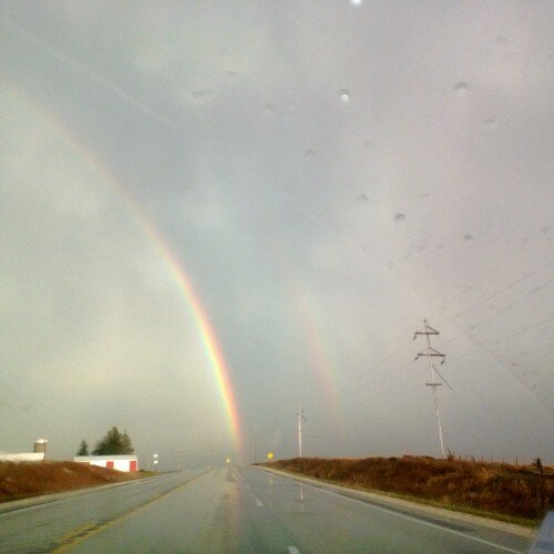 cwolf636's profile picture. 