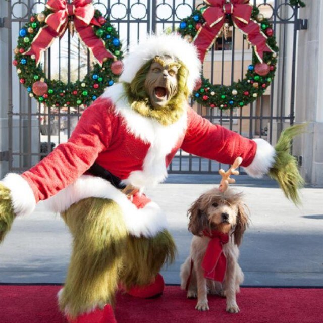 See me at universal studios this year between Nov. 28 and Dec. 31