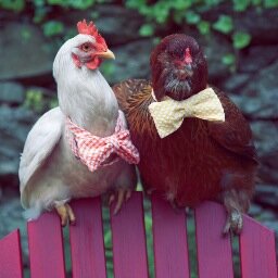 Jack and Jacksons is a small handmade bow tie company that strives to create high quality bow ties with character and class.