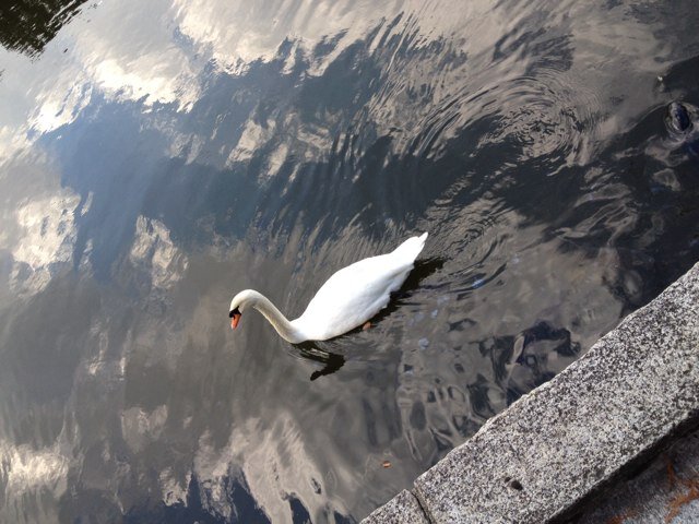 Fuka040506's profile picture. 