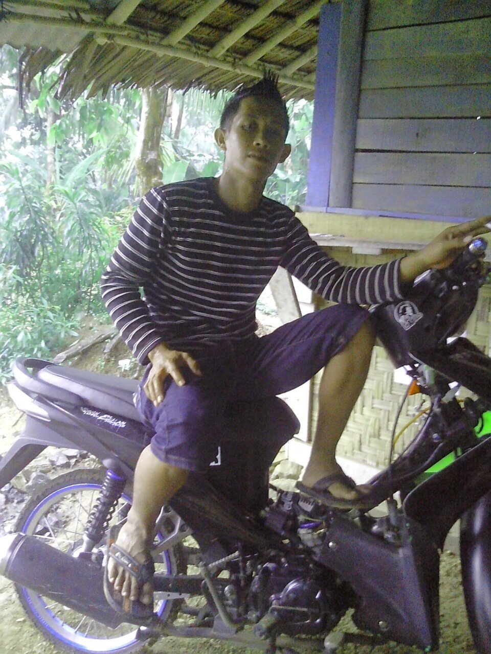 SapiSaraf's profile picture. Facebook : Asep Ragil  :: WeChat id : Sapi_Saraf