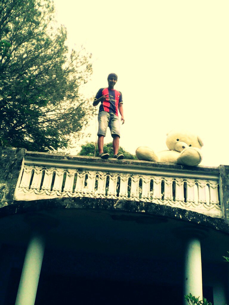 Cerrista ^^
