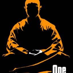 monk, Iq options trader, cryptotrader, investor, software engineer, programmer, astrologer, chiromancer, martial artist, author.