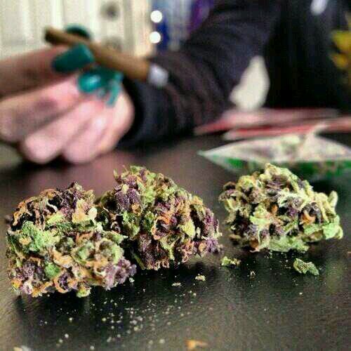 Daily Weed Posts