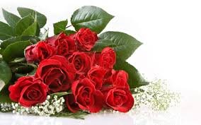 Flower Grower, Seller, Marketer, Entrepreneur