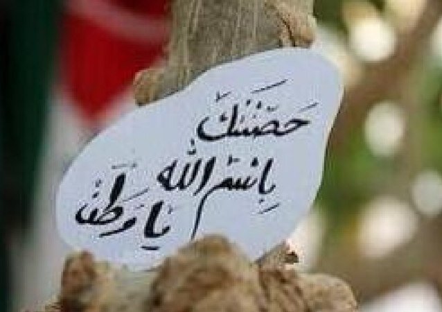 مب مهم اقنع العالم بشي جاز لي ♥