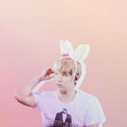 Sungmin's wife ㅡ ELF