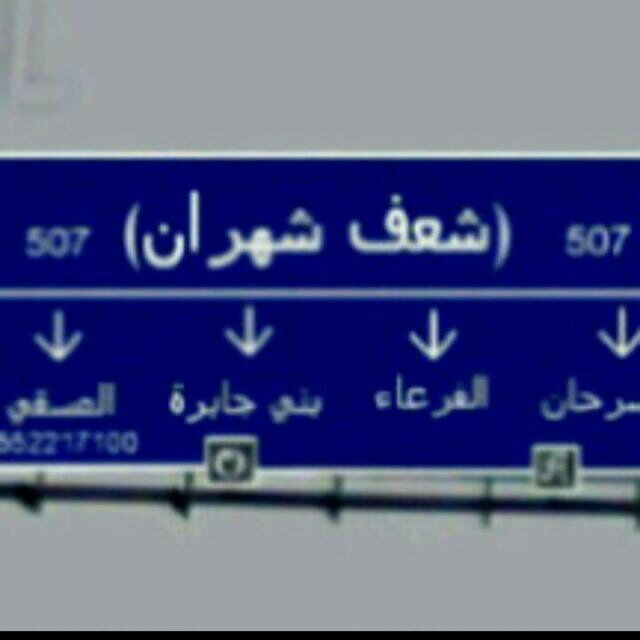 seed__007's profile picture. 