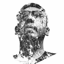 AlanYong's profile picture. 