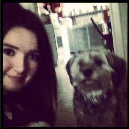 Chri_Scap's profile picture. Belgian Directioner. ♥ // 20 juin 2014. WWAT. // Believe in yourself. // Background: @imaharryvictim // My hero: @Real_Liam_Payne ♥