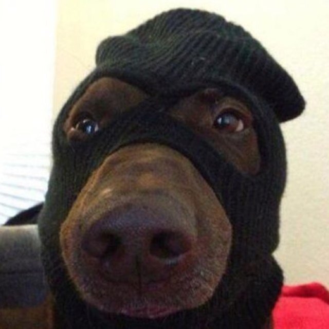 DankaBeatsUK's profile picture. https://t.co/QsV2naRgZC ….................................................................... DankaBeats@Gmail.com