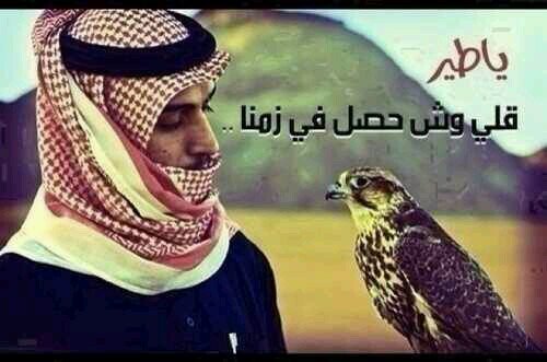 zsamsungkoko's profile picture. 