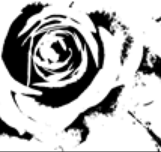 Thirteenth Rose Theatre. Founded By Actor @ograaady